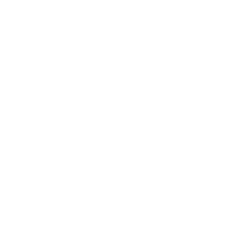 ZenithAI